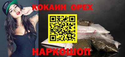 гидра Будённовск