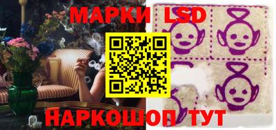гидра Будённовск