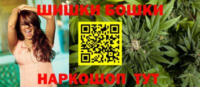 гидра Будённовск