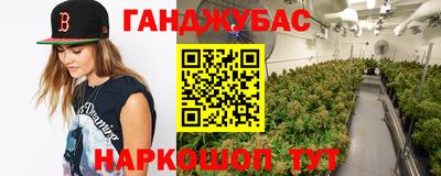 гидра Будённовск