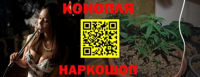 гидра Будённовск