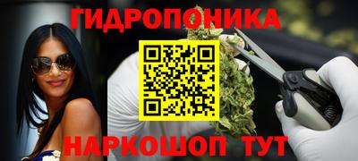 гидра Будённовск